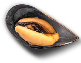 top_oyster
