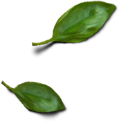 top_burger-leafs